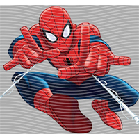 Spider Man-SP248